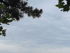 -海驴岛(荣成市)