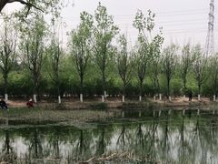 -门城湖公园