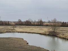 -溱湖国家湿地公园