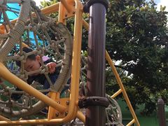 -上海市白玉兰幼儿园