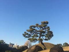 -水前寺成趣园