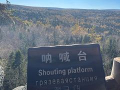 -汤旺河林海奇石景区