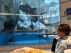 -帝企鹅自助餐厅•儿童岛•真企鹅(长隆企鹅酒店)