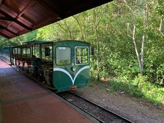 -伊瓜苏国家公园