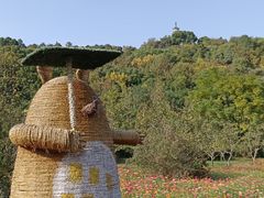 -苏州上方山国家森林公园