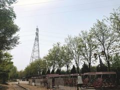 -永定河休闲森林公园