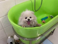 -宠着玩儿宠物生活馆