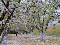 -元大都城垣遗址公园