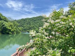 -桃花岭景区