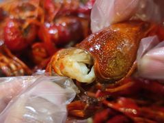 -虾弄弄海派小龙虾·牛羊蝎子火锅