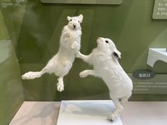 -国家自然博物馆