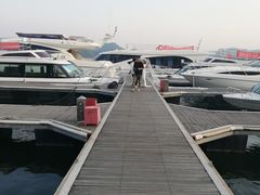 -千岛湖希尔顿休闲艇俱乐部