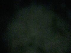 -金迎海鲜酒家(金凤凰广场店)