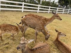 -遇见世外桃源教育农场