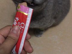 -宠福鑫动物医院(立水桥分院)