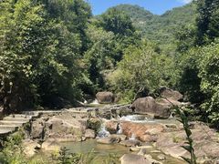 -广州白江湖森林公园