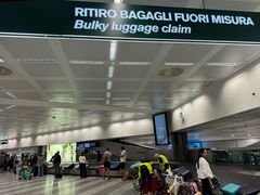 -米兰马尔彭萨国际机场