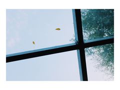 -VOYAGE COFFEE(北锣鼓巷店)