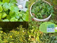 -广州神农草堂中医药博物馆