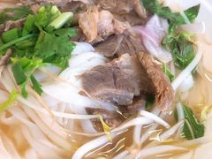鲜牛肉粉-探越越南牛肉粉(江南西分店)