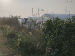 -菊园百果园