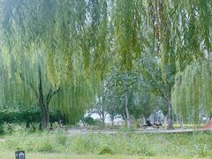 -元大都城垣遗址公园