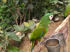 -南宫五洲植物乐园