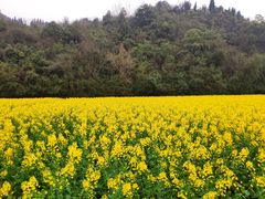 -贵阳市花溪国家城市湿地公园