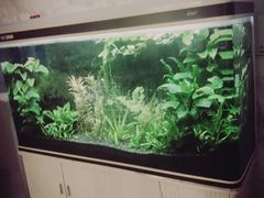 -尚足影院式足疗·住宿·美食(解放碑店)