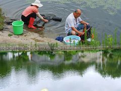 -茶具博物馆