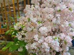 -紫霞门韩国料理烤肉(深南东路店)