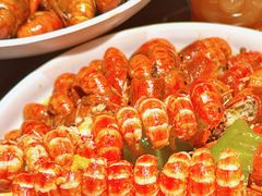 -京悦南门涮羊肉·羊蝎子火锅(田林路店)