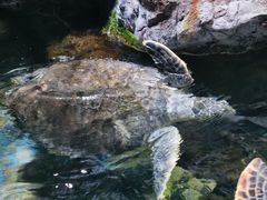 -南昌融创海世界