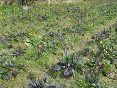 -韶山毛泽东同志故居