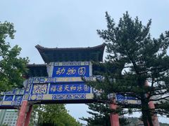 -西霞口神雕山野生动物世界