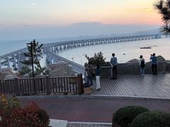 -星海湾跨海大桥