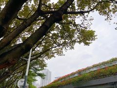 -荔香公园