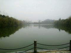 -林记开心动物奶油生日蛋糕(江南春晓店)