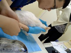 -芭比堂动物医院广州顽皮分院