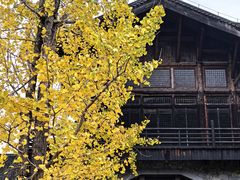 -大唐贡茶院