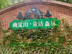 -幽岚山·童话森林