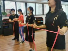 -温鉴良实用咏春拳