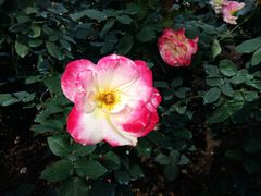 -人民公园(罗湖区)