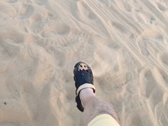 -迪拜沙漠冲沙