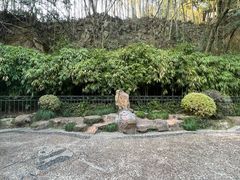 -杭州黄龙洞