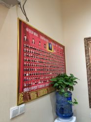 -痣缘宫