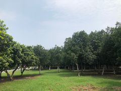 -艾溪湖湿地公园