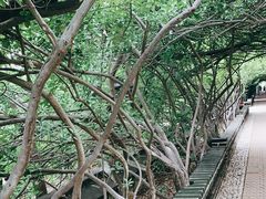 -烟台山景区