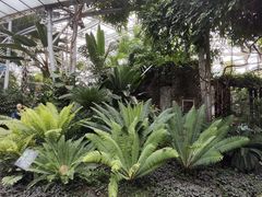 -北京植物园-展览温室