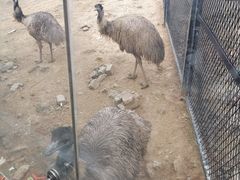 -无锡动物园·太湖欢乐园